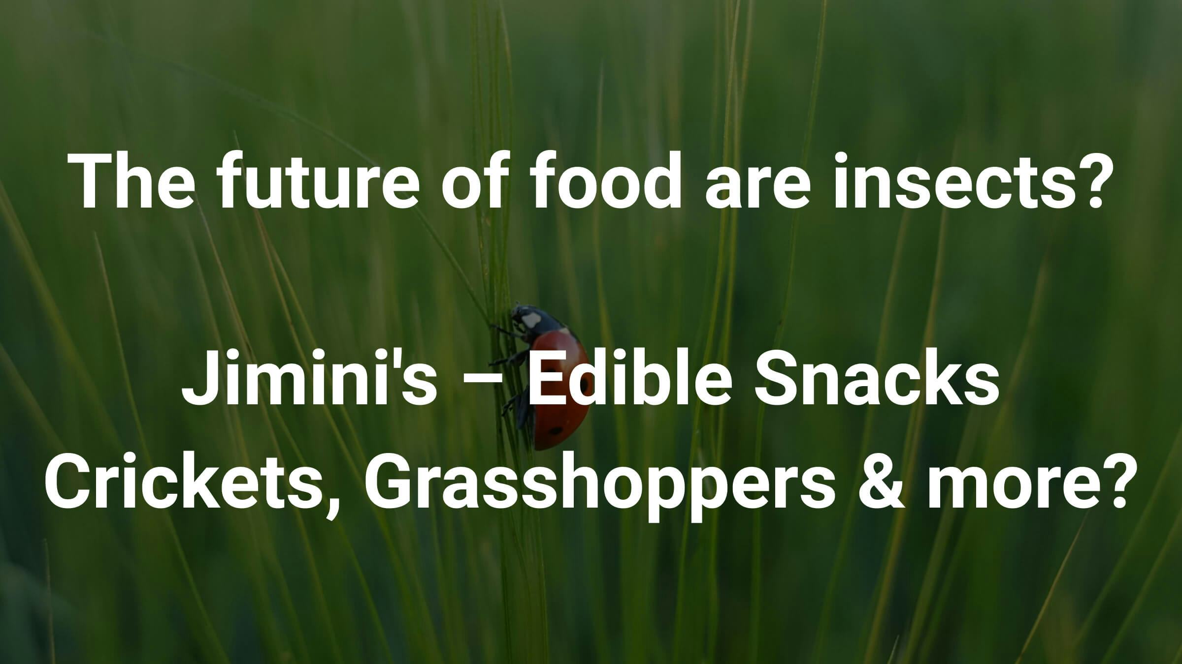 cover for the article Jimini's – Pasta and Snacks made with insects like Crickets 🦗, Grasshoppers and more 🐛?